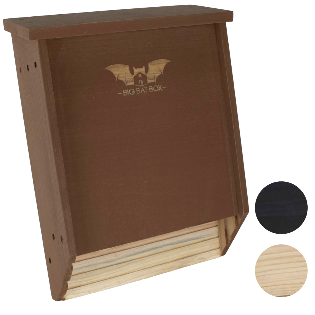 Big Bat Box -  2 chamber