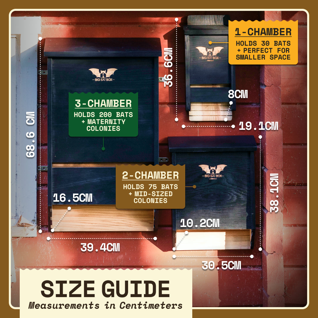 Big Bat Box -  3 chamber
