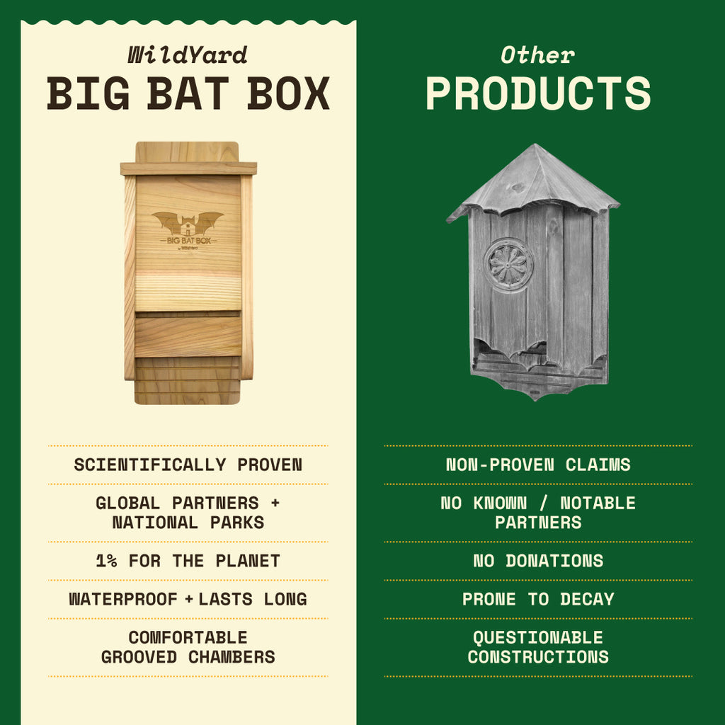 Big Bat Box -  1 chamber