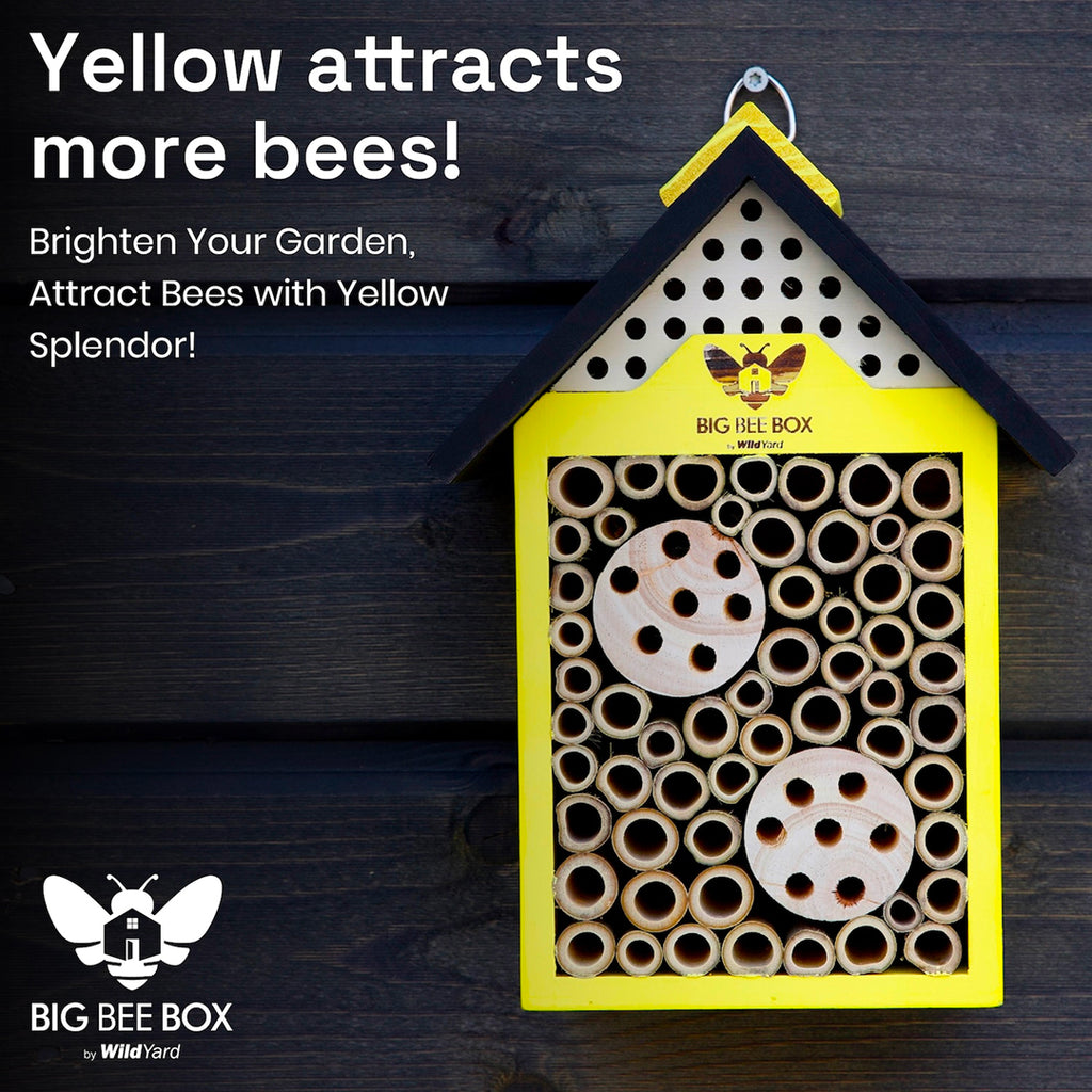Wild Yard - Beehouse