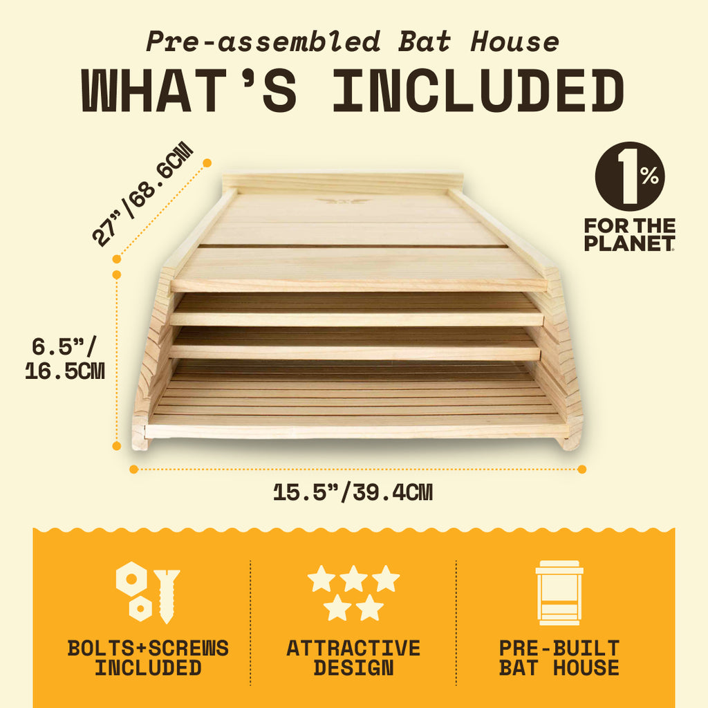 Big Bat Box -  3 chamber