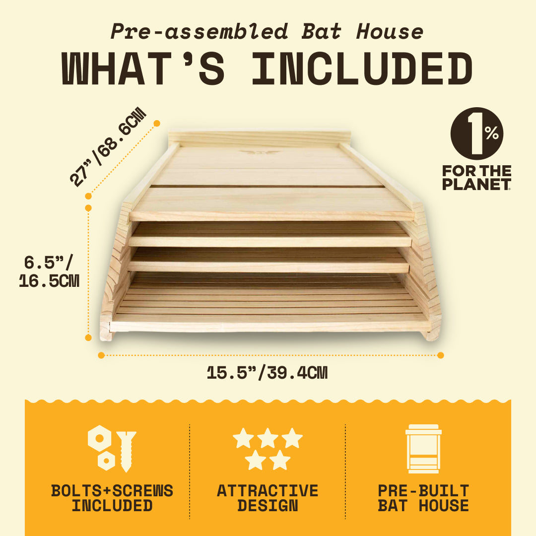 Big Bat Box -  3 chamber
