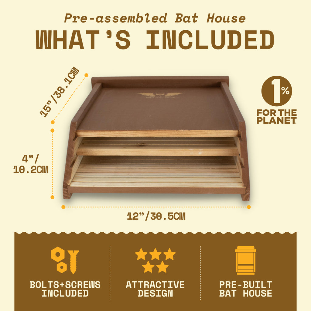 Big Bat Box -  2 chamber