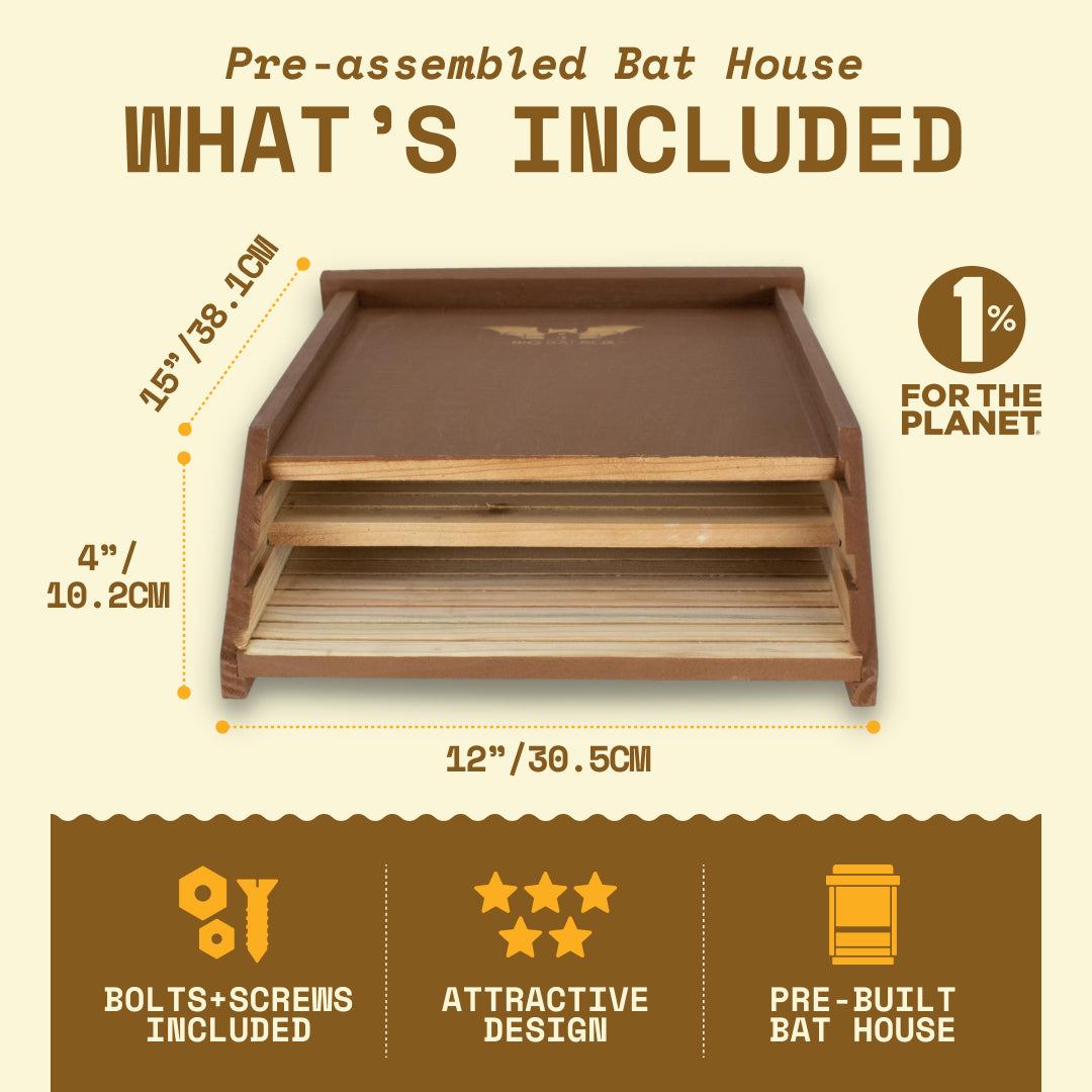 Big Bat Box -  2 chamber