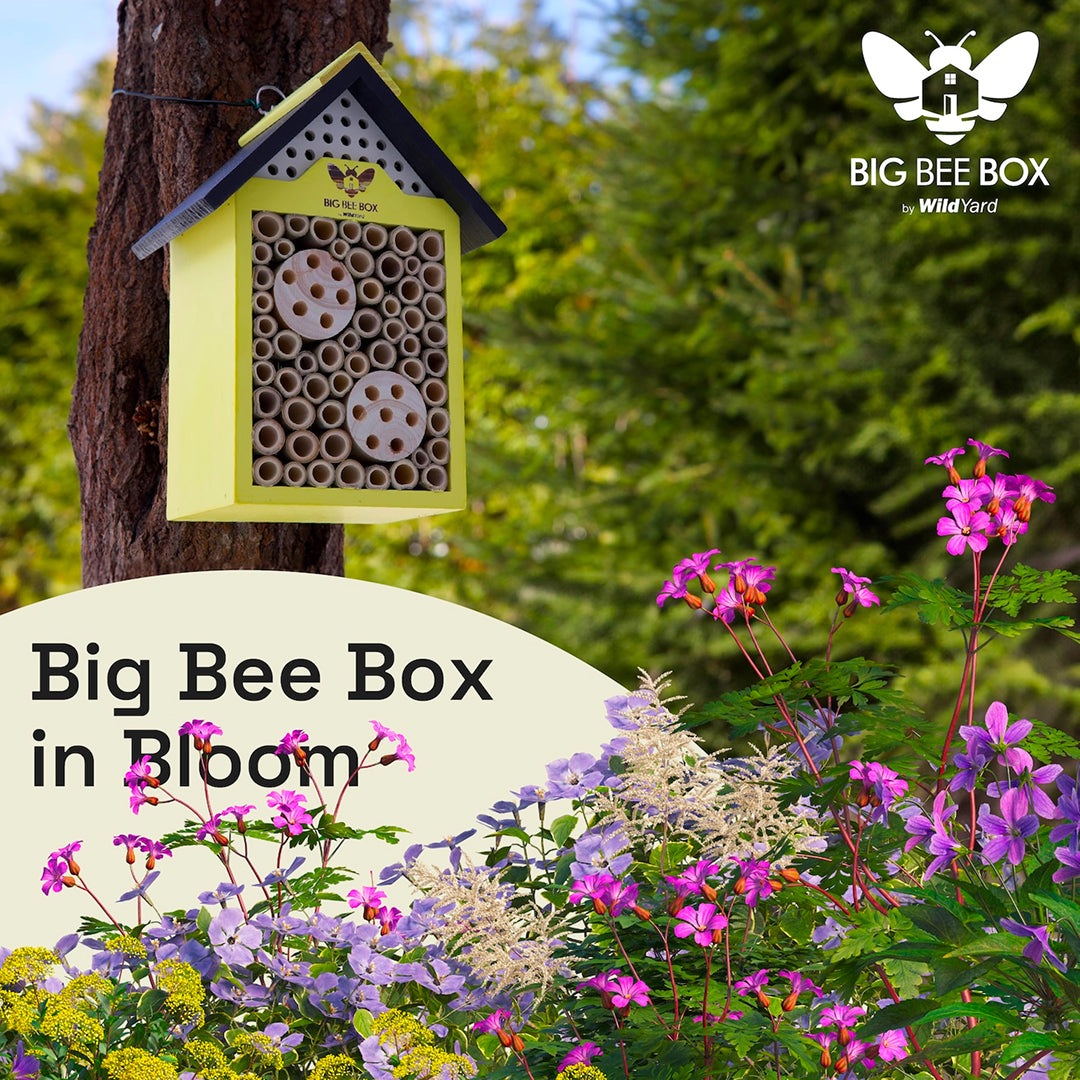Wild Yard - Beehouse