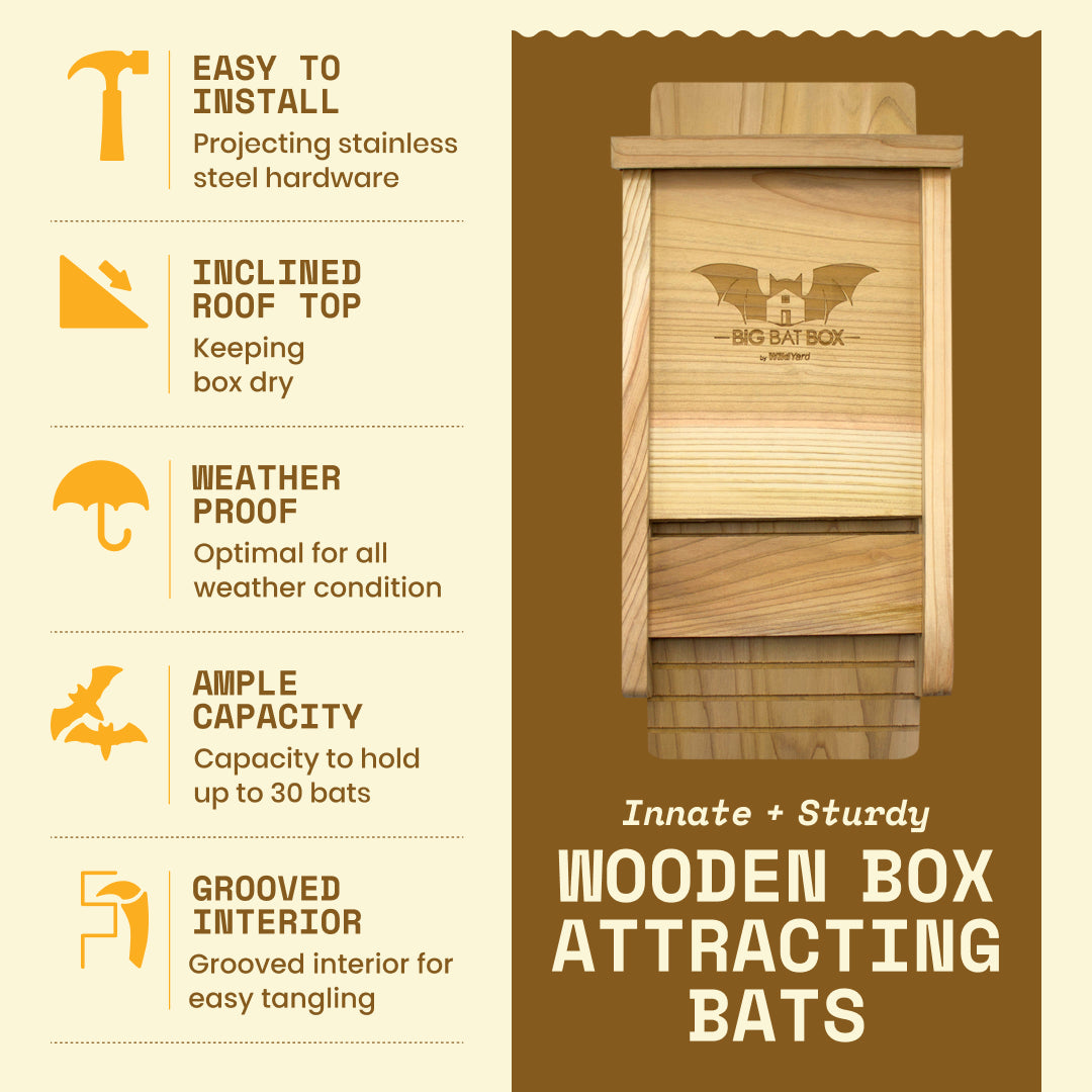 Big Bat Box -  1 chamber