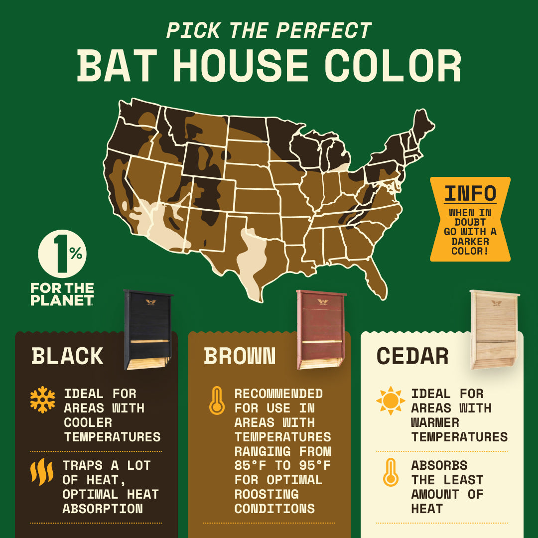 Big Bat Box -  3 chamber
