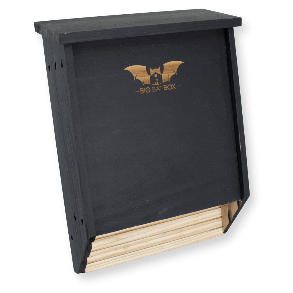2-Chamber Black Cedar Bat House – Holds Up to 75 Bats | Natural Mosquito Control | Cool Climate Design