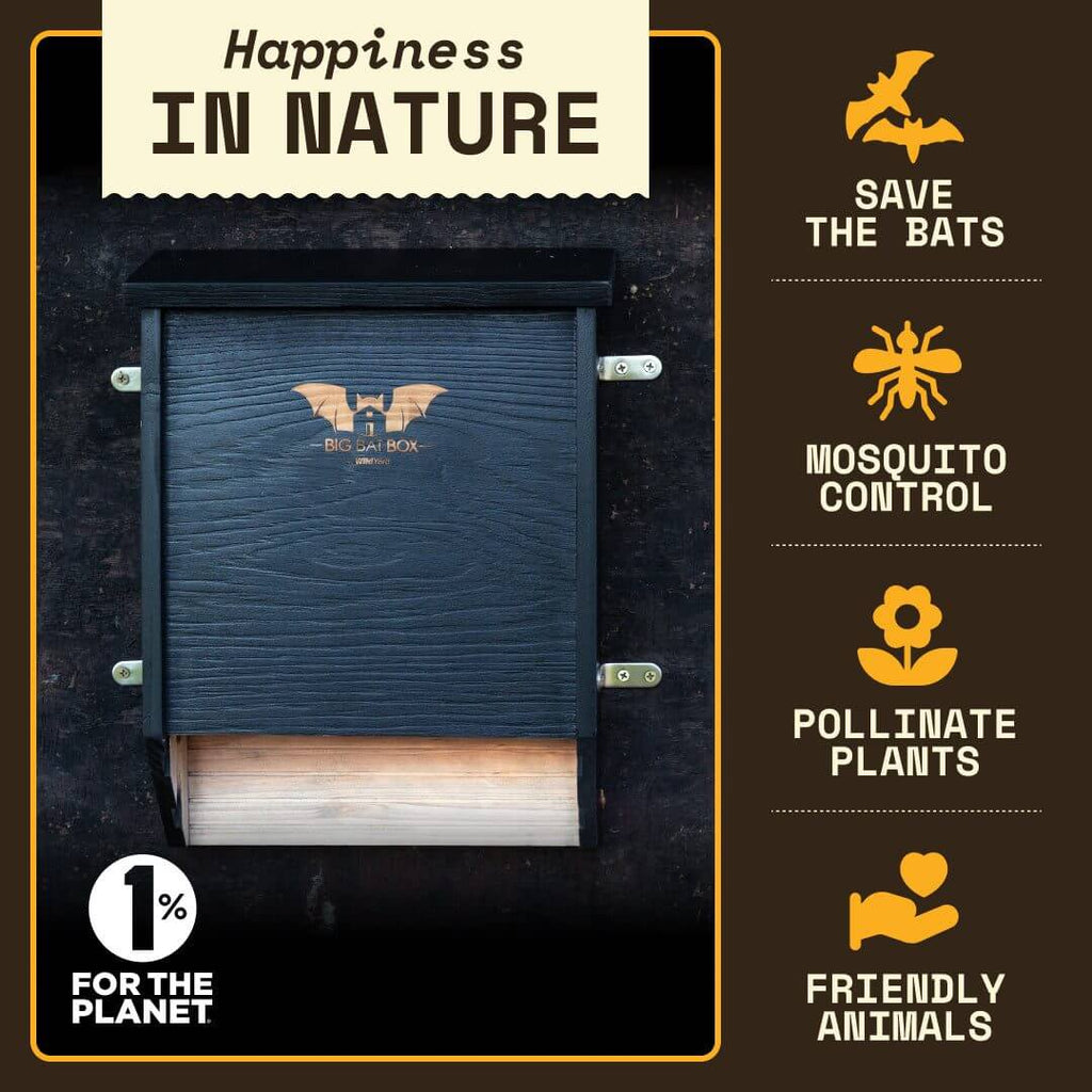 2-Chamber Black Cedar Bat House – Holds Up to 75 Bats | Natural Mosquito Control | Cool Climate Design