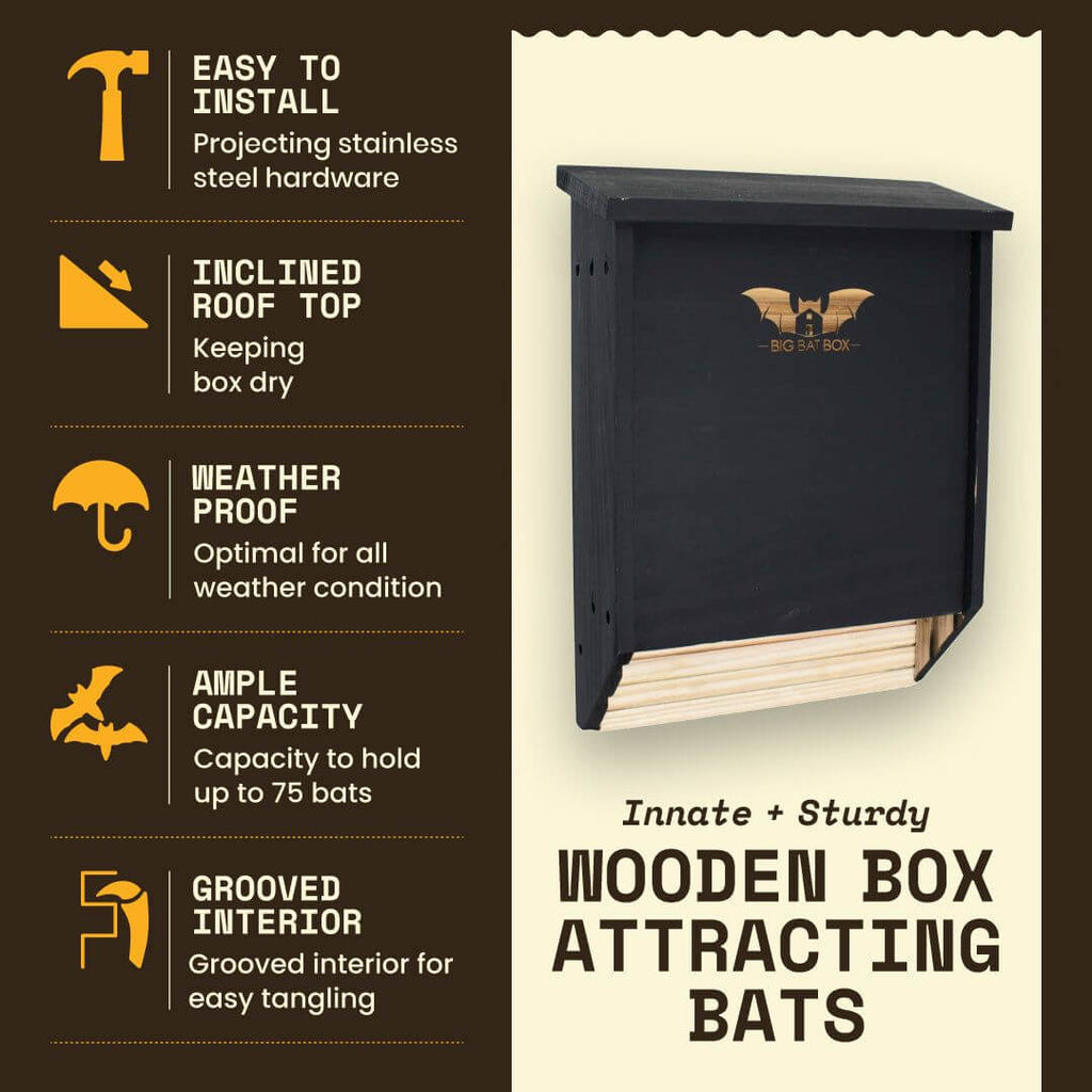 2-Chamber Black Cedar Bat House – Holds Up to 75 Bats | Natural Mosquito Control | Cool Climate Design