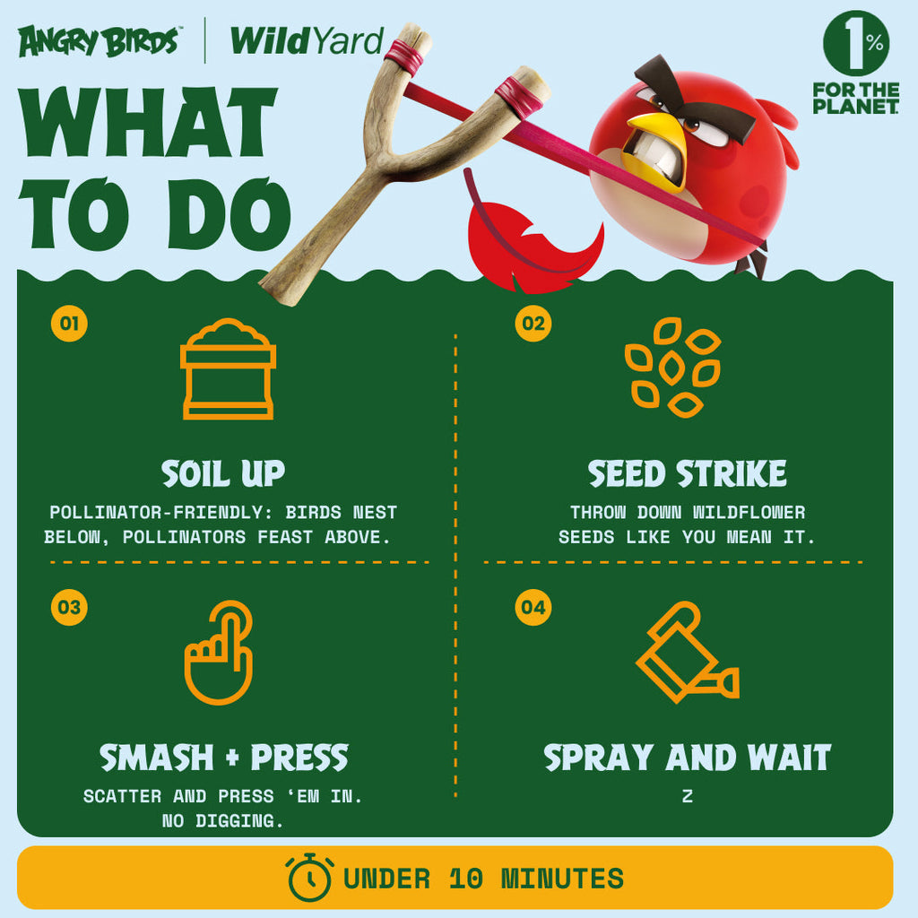 Step-by-step planting guide for the WildYard X Angry Birds™ Flowerpot Birdhouse