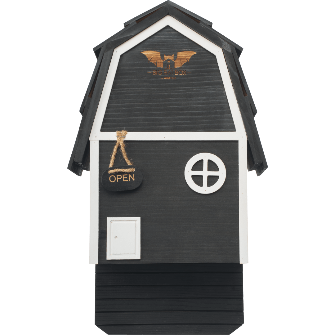 2-Chamber Black Cedar Bat House – Holds 50+ Bats | Bat Barn Junior | Natural Mosquito Control