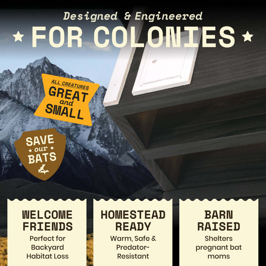 2-Chamber Black Cedar Bat House – Holds 50+ Bats | Bat Barn Junior | Natural Mosquito Control