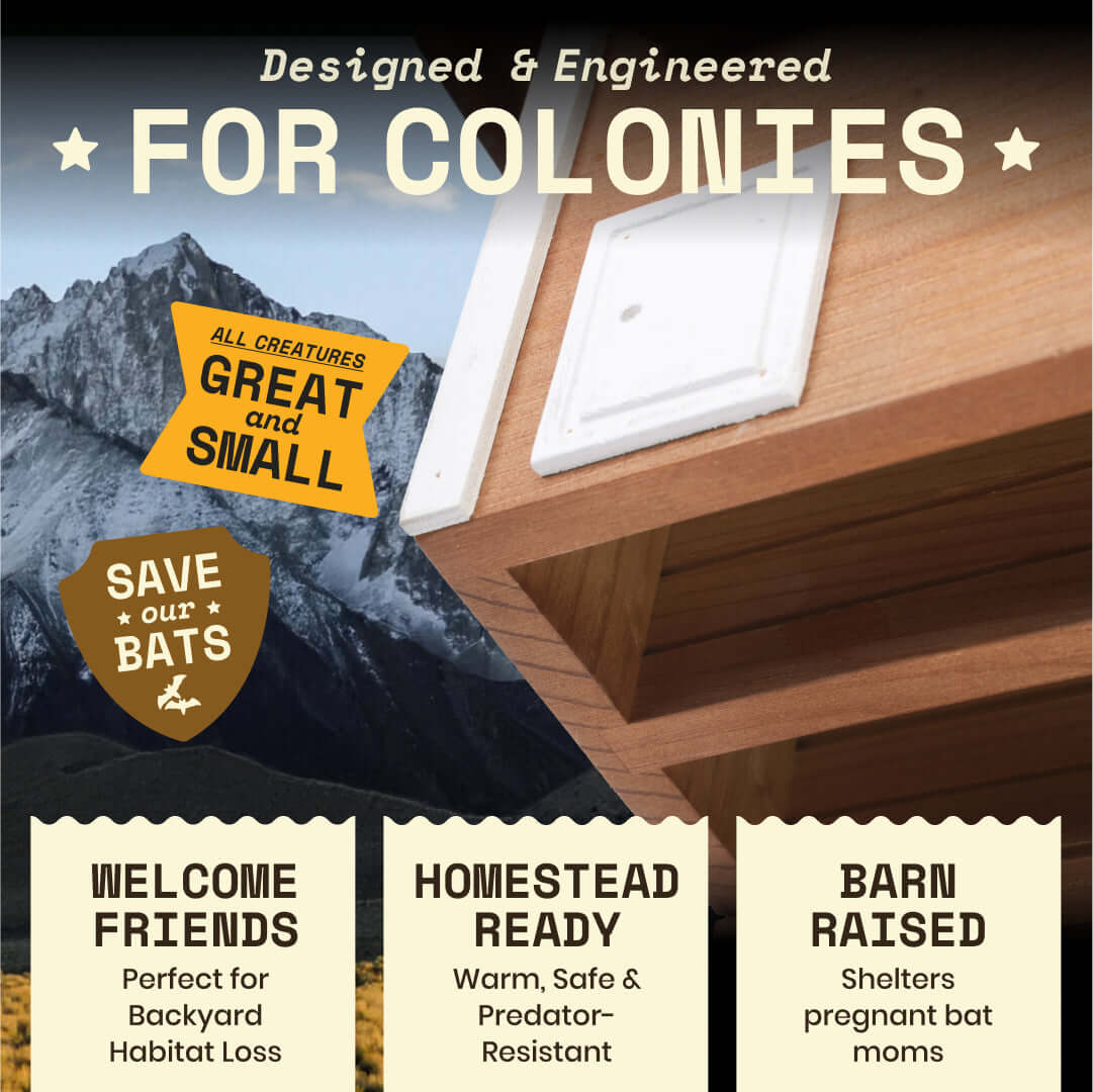 2-Chamber Brown Cedar Bat House – Holds 50+ Bats | Bat Barn Junior | Natural Mosquito Control