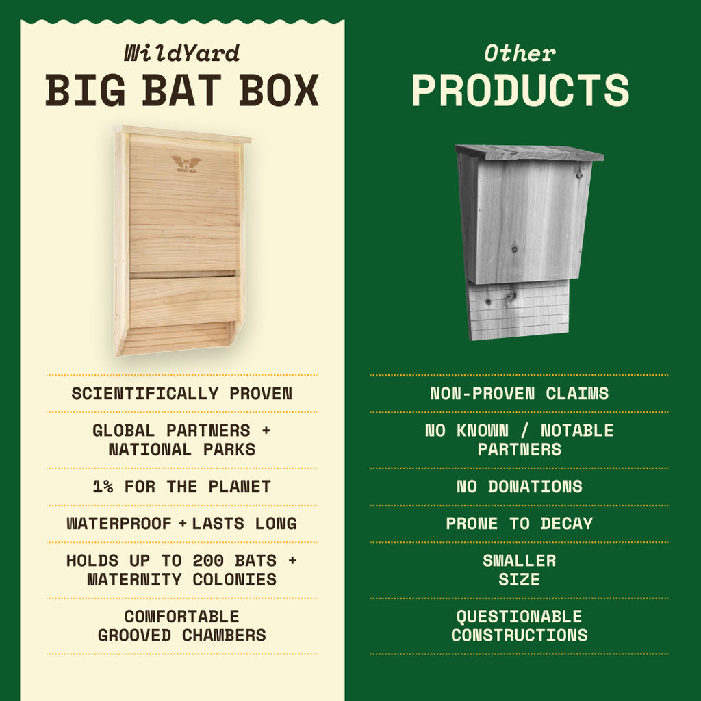 Big Bat Box -  3 chamber