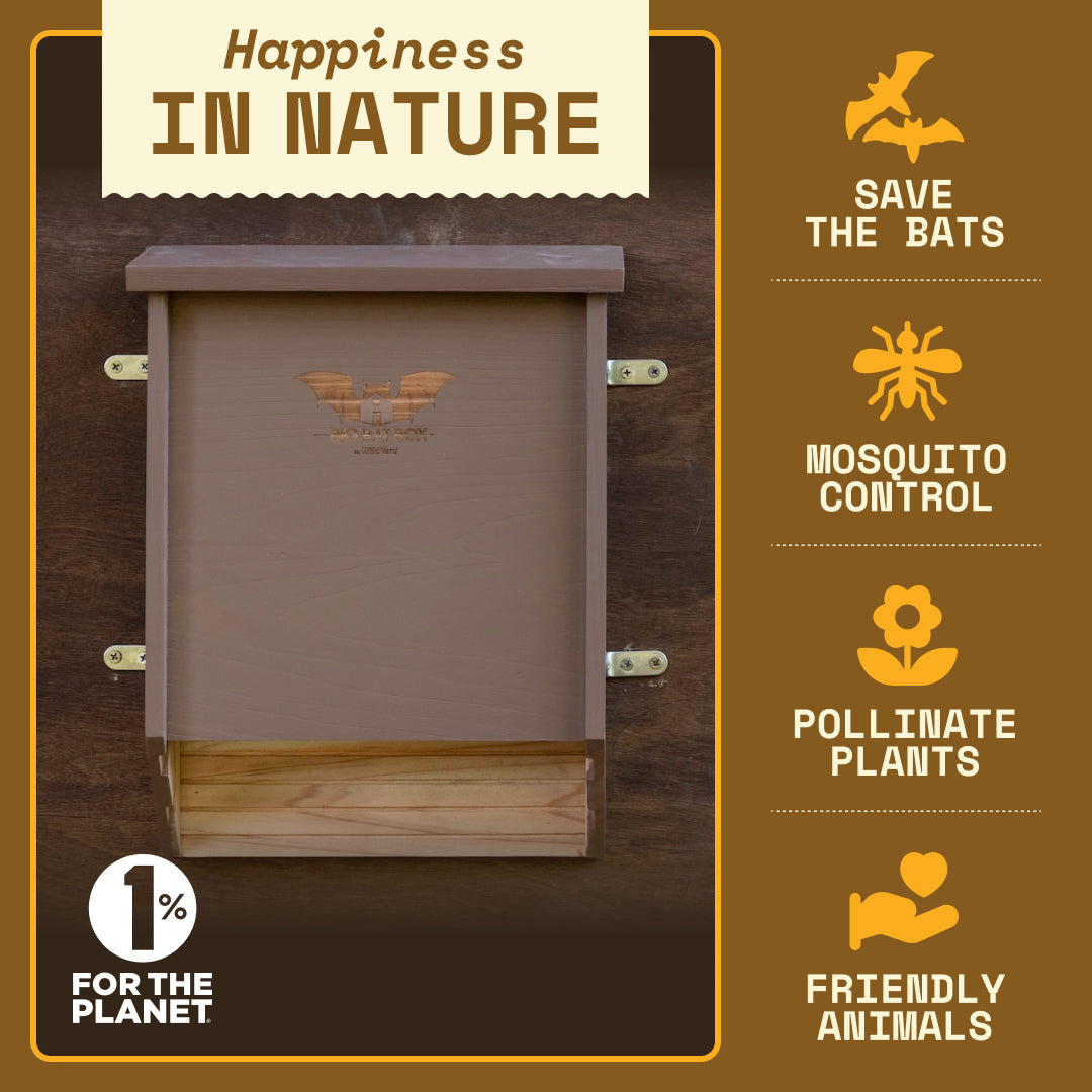 Big Bat Box -  2 chamber