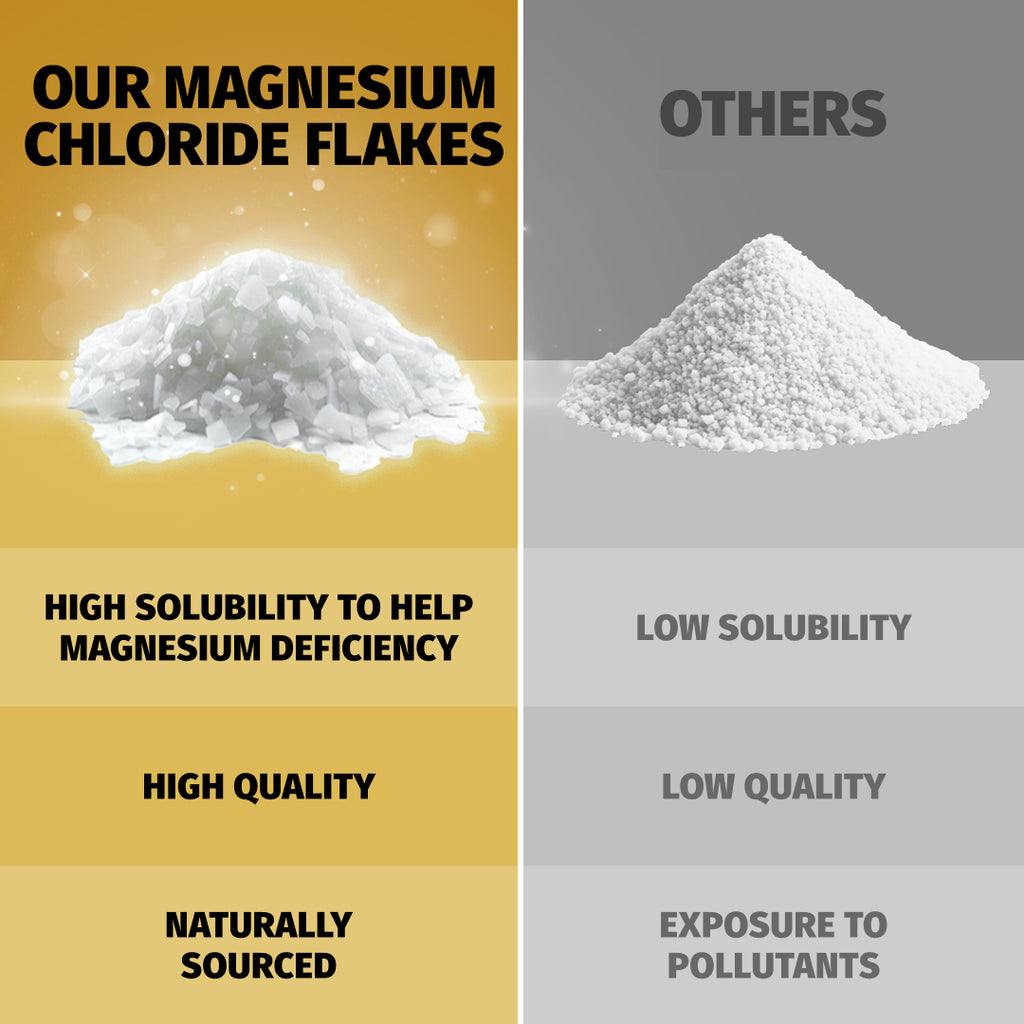 Coach Soak Recovery Bath Soak - Post Workout Magnesium Flakes - Energizing Citrus