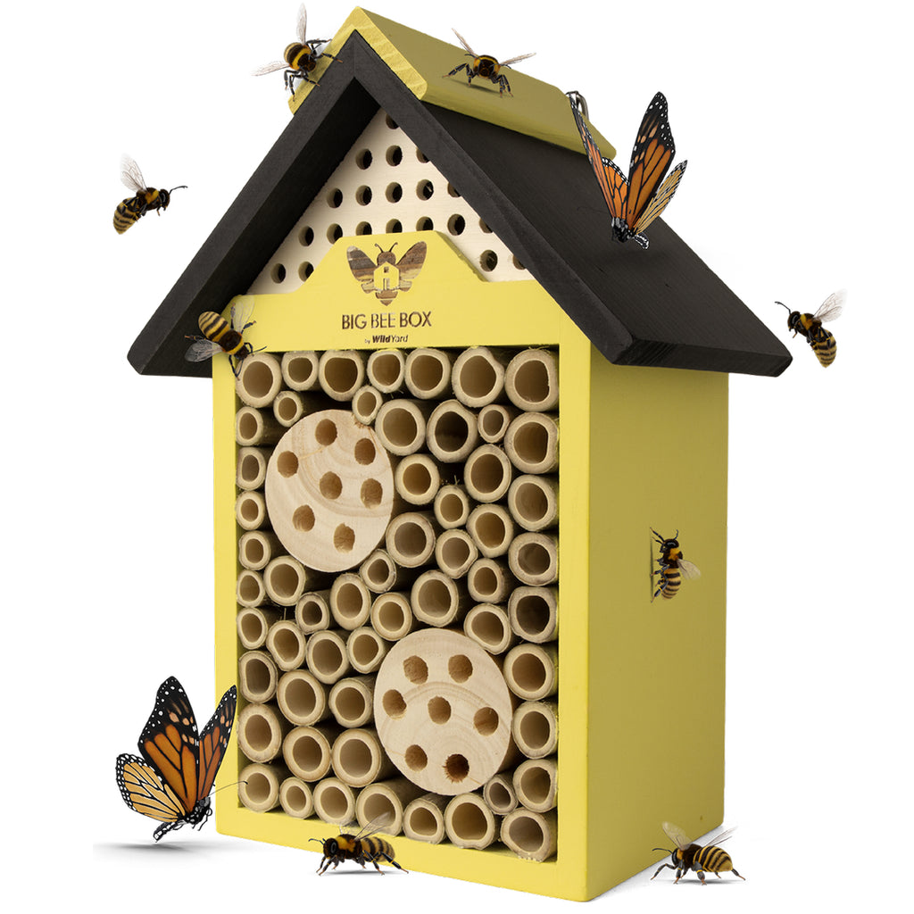 Wild Yard - Beehouse