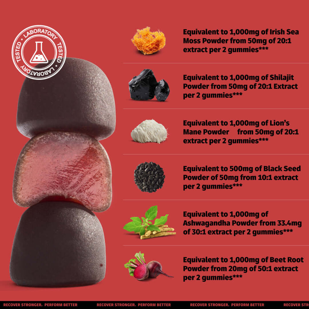 Complexe gommeux 6-en-1 Coach Soak - Shilajit, Ashwagandha, Crinière de lion, Mousse marine, Graine noire, Betterave - 60 unités - Framboise pastèque