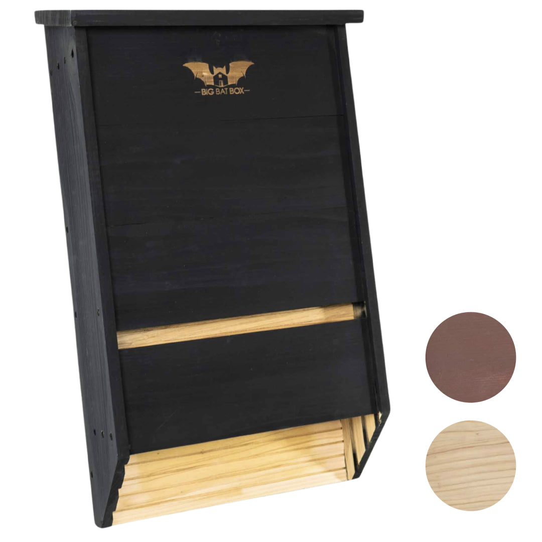 Big Bat Box -  3 chamber