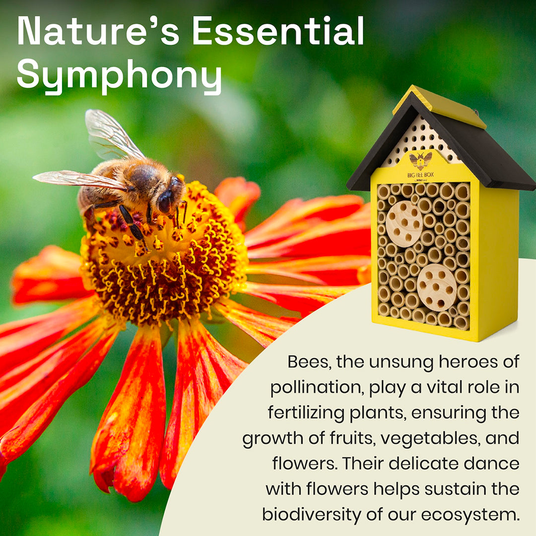Wild Yard - Beehouse