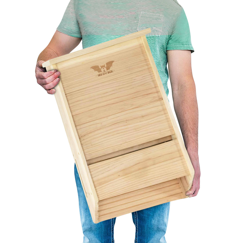Big Bat Box -  3 chamber