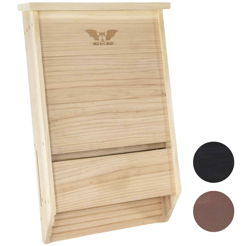 Big Bat Box -  3 chamber