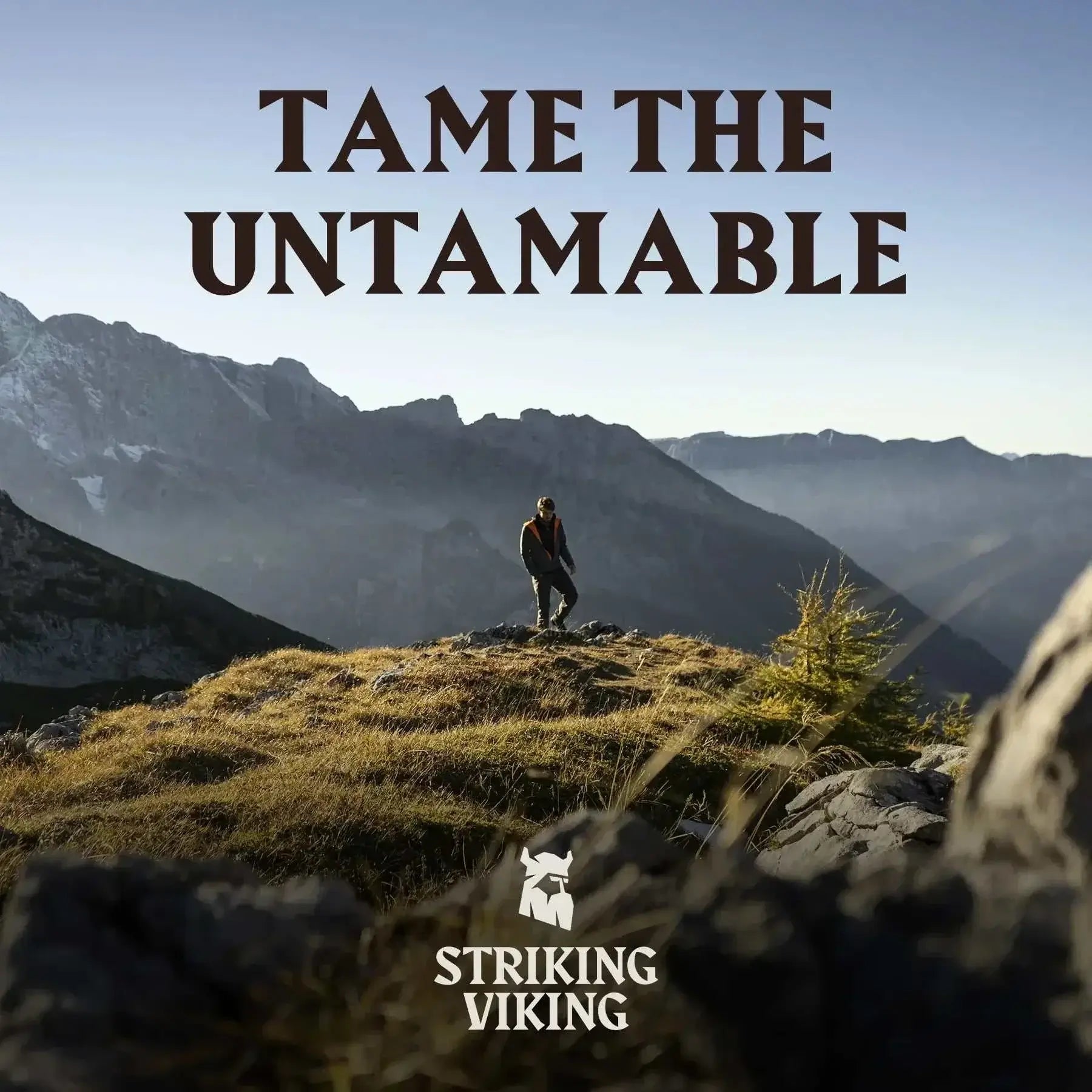 Landscape with person standing on a hill, mountains in the background, text "Tame the Untamable" and Striking Viking logo.